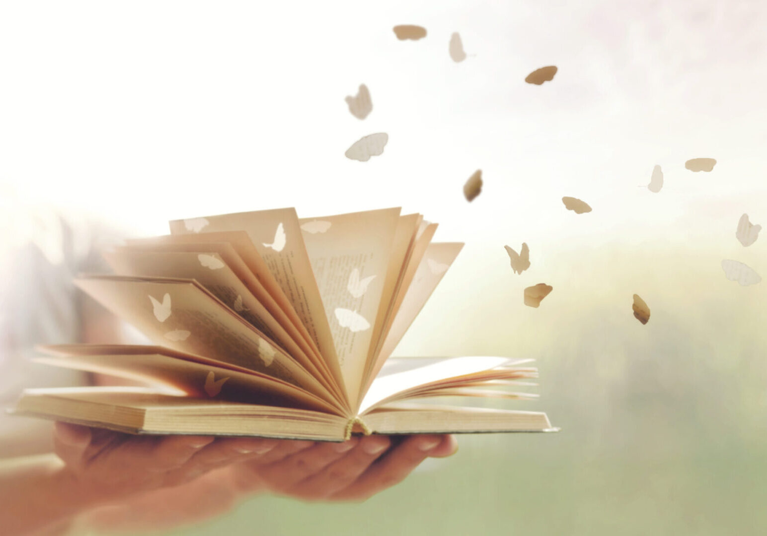 surreal paper butterflies come out free from the pages of a book, abstract concept An open book in hands with paper butterflies flying out against a soft, blurred background.